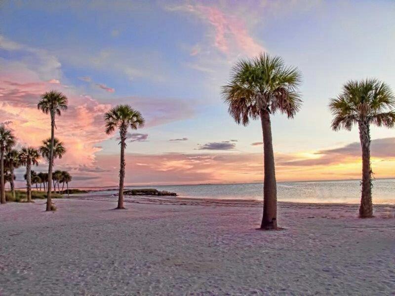 Hibiscus Hideaway Villa Tarpon Springs Exteriör bild